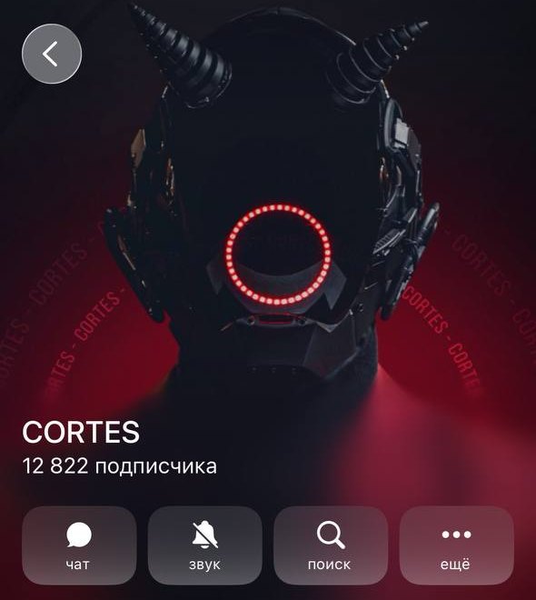 Профиль канала CORTES: 12 822 подписчика